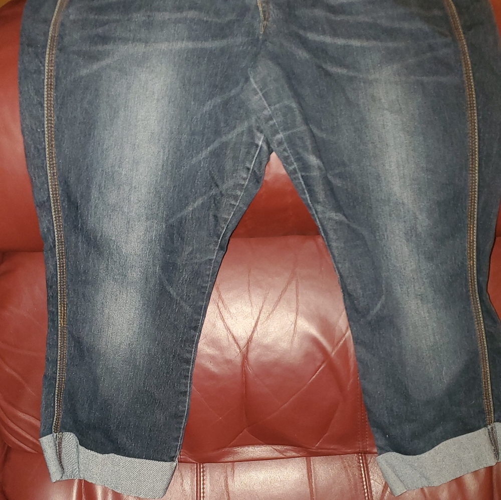 Indigo Rein Capris